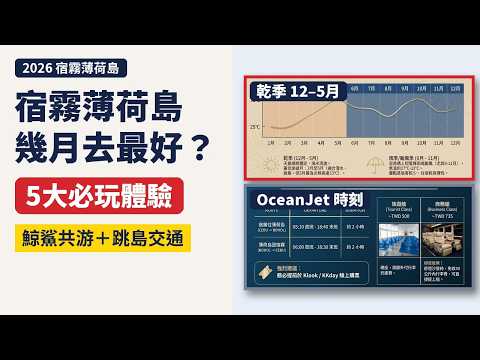 宿霧、薄荷島值得去嗎?鯨鯊共游、沙丁魚風暴與5個必玩體驗